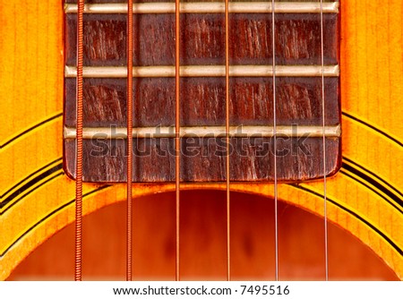 Guitar Body, Frets and Strings