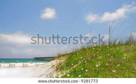 Flower covered sand dune by fishing pier with beachgoers in distance