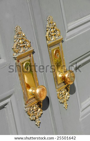beautiful brass entry door handles