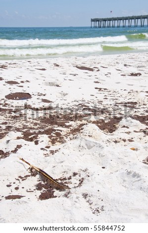 PENSACOLA BEACH - JUNE 23: An oil-stained bird feather lies near large patches of oil on June 23, 2010 in Pensacola Beach, FL