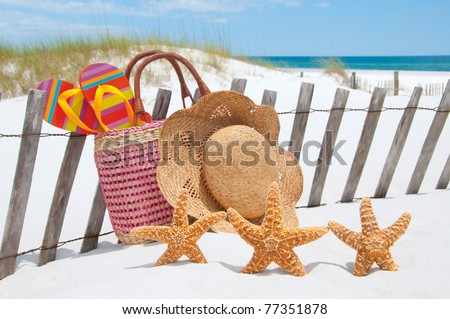 starfish collection on beach fence