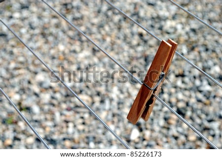 clothes peg standing on the line