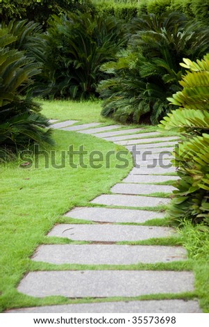 Footpath through shrubs in the garden