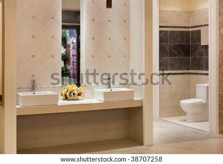 Luxurious modern bathroom with water sinks and toilet bowl