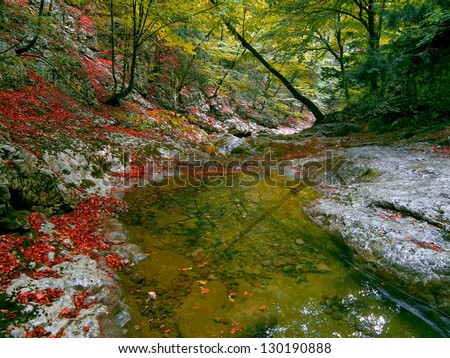 Autumnal stream.