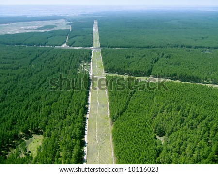 Forest way (view from above).