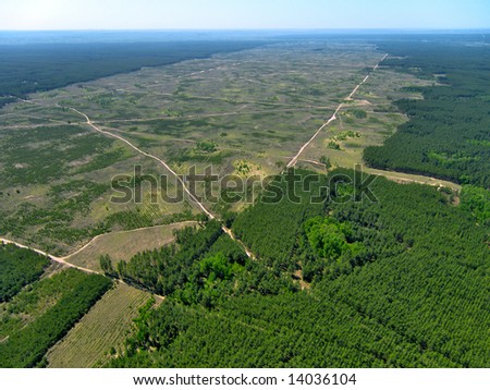 forest cutting
