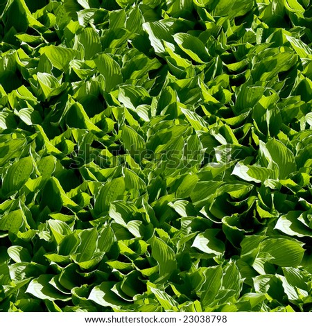 Green leaf seamless background (See more seamless backgrounds in my portfolio).