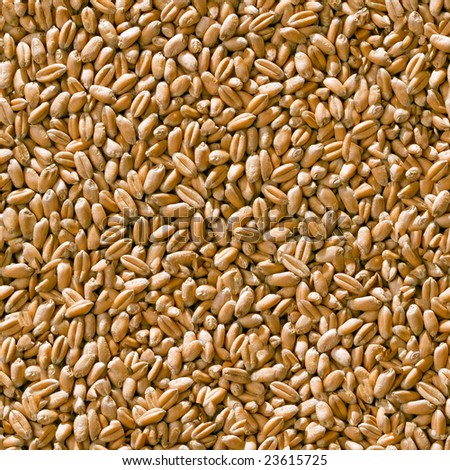 Grain seamless background. (See more seamless backgrounds in my portfolio).