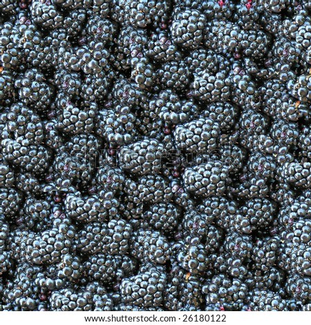 Blackberry seamless background. (See more seamless backgrounds in my portfolio).