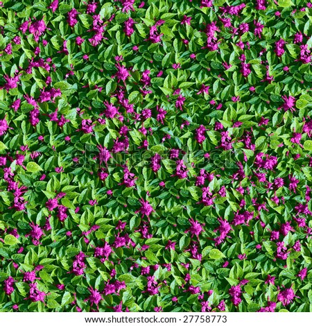 Violet flowers seamless background. (See more seamless backgrounds in my portfolio).
