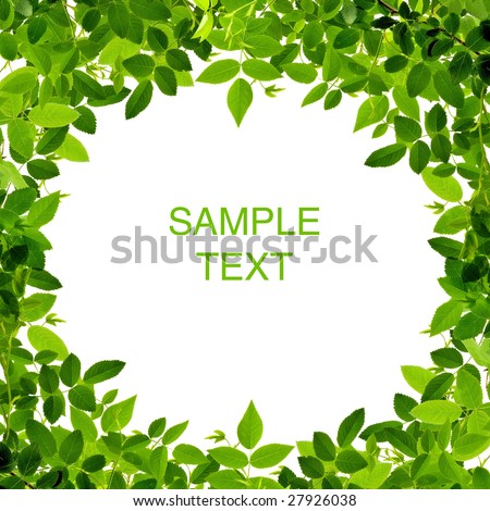 leaf border clipart. stock photo : Green leaf