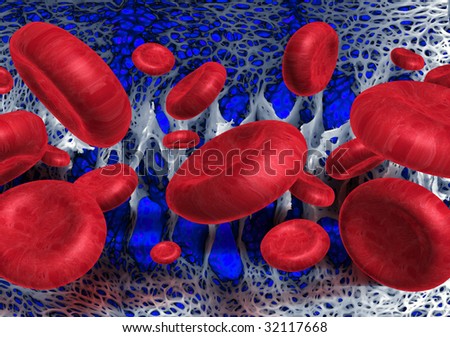 Red Blood Tissue
