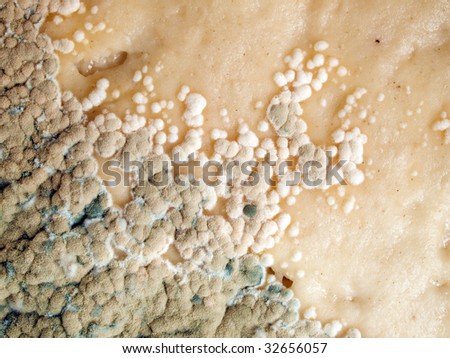 Mold texture background.