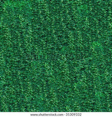 Ivy pattern seamless background. (See more seamless backgrounds in my portfolio).
