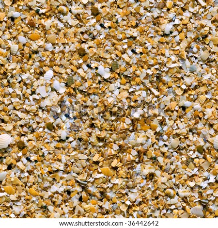 Shell sand closeup seamless background. (See more seamless backgrounds in my portfolio).