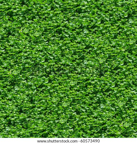 Seamless green grass texture background - texture pattern for continuous replicate. See more seamless backgrounds in my portfolio.