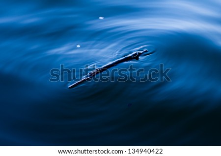 Stick floating in water with soft ripples