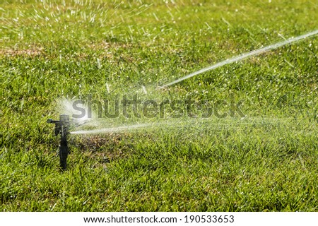 Sprinkler is work at the lawn