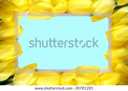 Yellow tulip frame