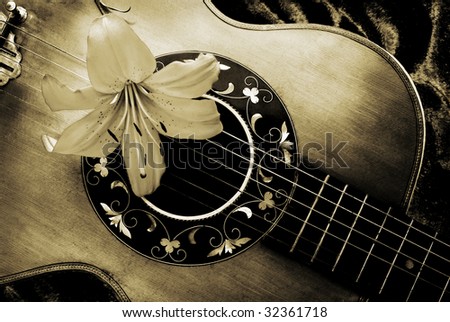 Old guitar and flower of lily in sepia