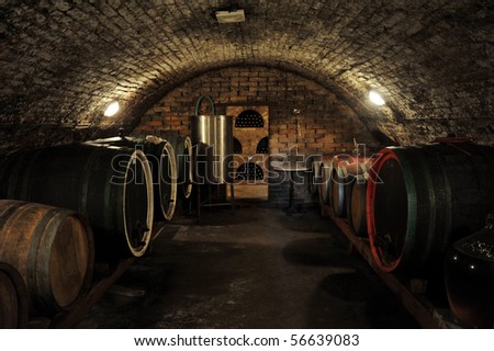 Wine barrels in traditional wine cellar