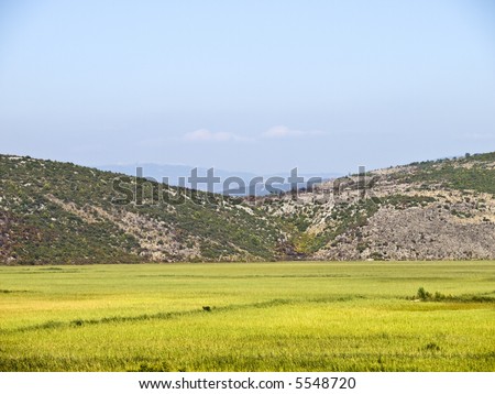 Mediterranean field with hill covered with macchia in distance