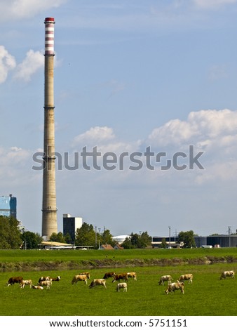 Heating and power plant near river against blue sky and green plants. Lot of cows in front.