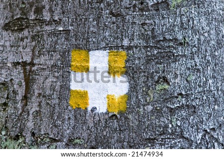 Hiking sign for alpinists in a forest. Painted on a tree trunk.