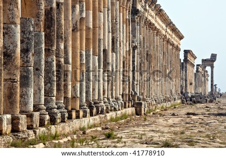 Pompey made Apamea (Apameia) or Afamia (Arabic) part of the Roman Empire in Syria. Cardo maximus street with columns. Roman and Byzantine period