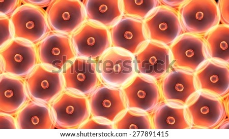 Abstract illustration of cells in mitosis and multiplication of cells for beauty and biology concept
