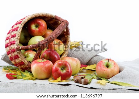 Autumn theme. Apples on linen canvas