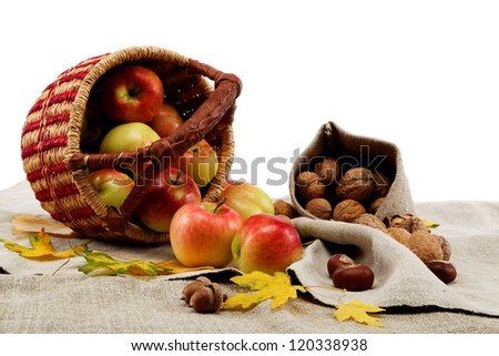 Autumn theme. Apples and walnuts on linen canvas.