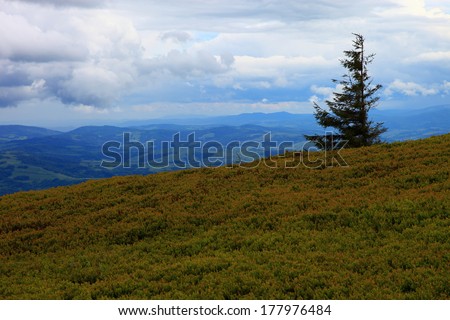 Mountain landscape. Storm clouds in the mountains.