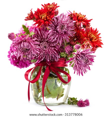 Bouquet of red flowers, chrysanthemums isolated on white background.