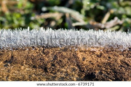 cross section image of ice frost crystals on a old log or earth