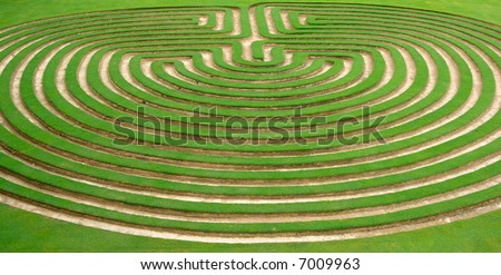 beautiful green lawn cut into a garden maze