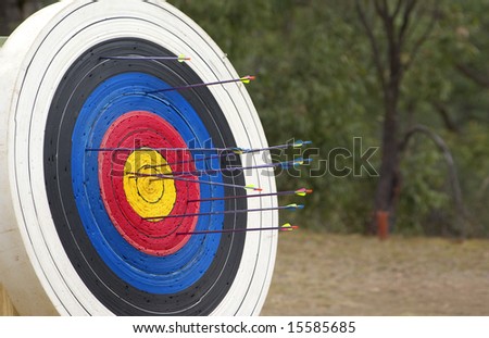 great image of a archery target full of arrows