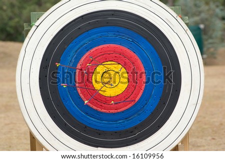 image of an archery target full of arrows