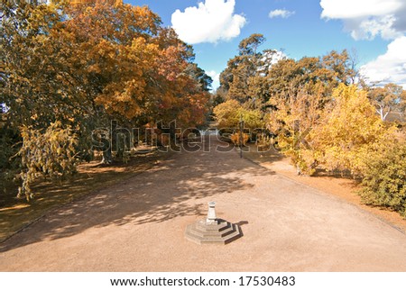 tree lined driveway and garden in autumn or fall