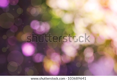 background blur in pink and purple tones, the bokeh effect