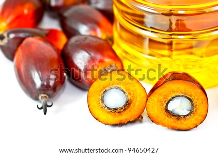 palm fruits and palm oil, one fruit is cut to show its kernel inside