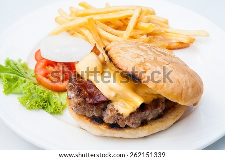Close Up Hamburger with french fries on White Dish