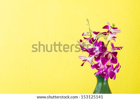 purple orchid and green old vase with grunge yellow wall