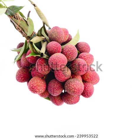 Fresh of litchi fruit and copy space isolated on white background