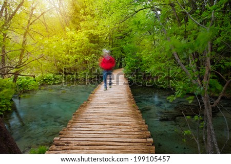 Deep forest stream with crystal clear water  and walking people in the sunshine. Plitvice lakes, Croatia
