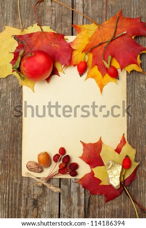 Autumn border - apples and fallen leaves, Thanksgiving day