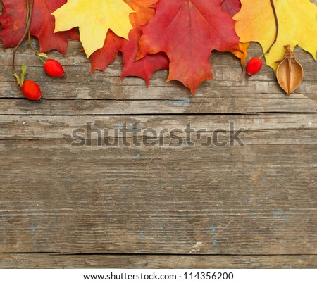 Autumn leaves border on dark background