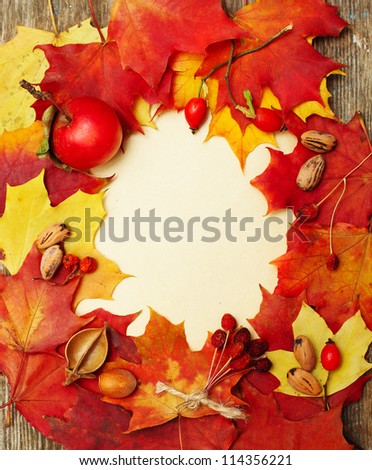 Autumn background - border of leaves and red berry on paper background