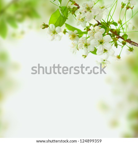 Spring Blossom Background - Abstract Floral Border Of Green Leaves And White Flowers
